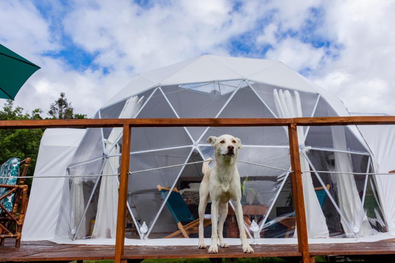 Glamping Claro De Luna Guatavita Kültér fotó